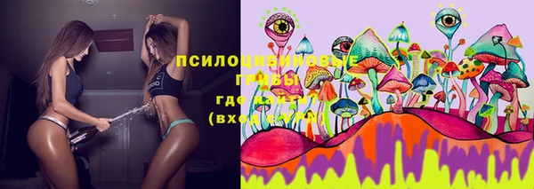 мдпв Зерноград