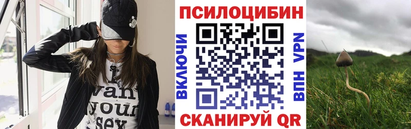 Псилоцибиновые грибы Psilocybine cubensis  Купить закладки  Заволжск 